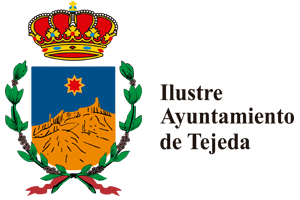 Logo_web_AYTO TEJEDA 1