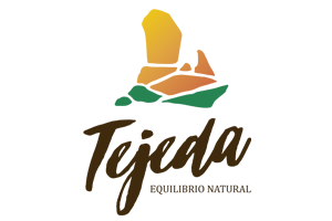 Logo_web_AYTO TEJEDA 3